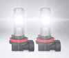 H8 Osram LEDriving HL Easy LED bulbs for fog lights in operation