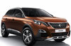 Car Peugeot 3008 II (2016 - 2024)