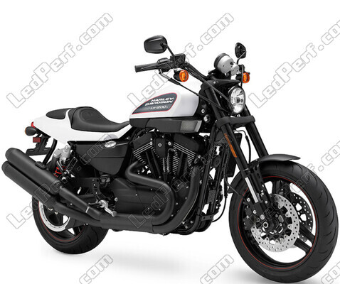 Motorcycle Harley-Davidson XR 1200 X (2010 - 2013)